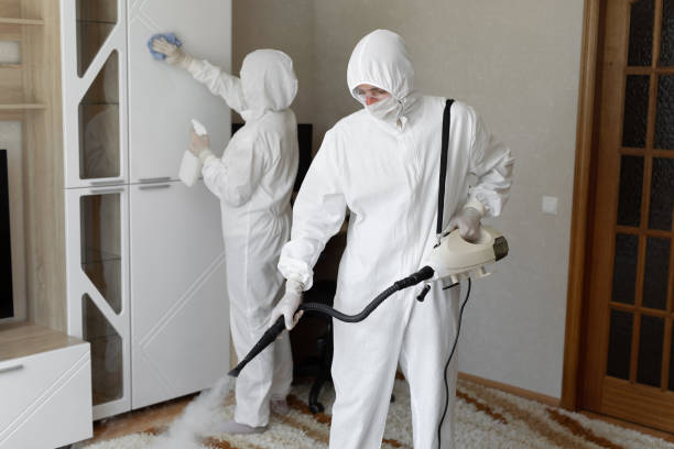 24/7 Emergency Odor Removal experts in Highland, AR