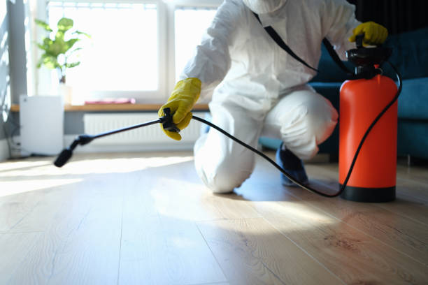 Reliable Odor Removal contractor in Highland, AR by Trauma Clean Pros